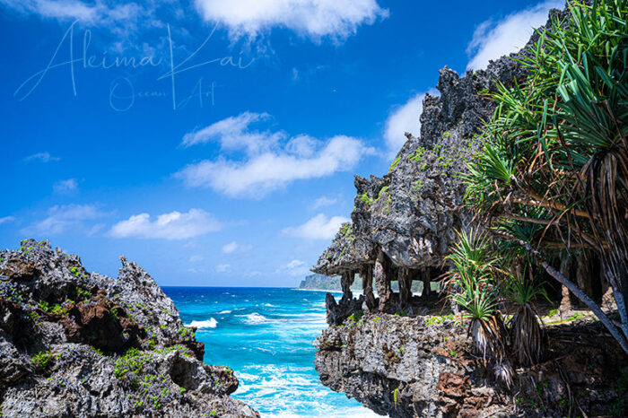 Monster Of Mouth | French Polynesia Island Ocean Photography - Image 5