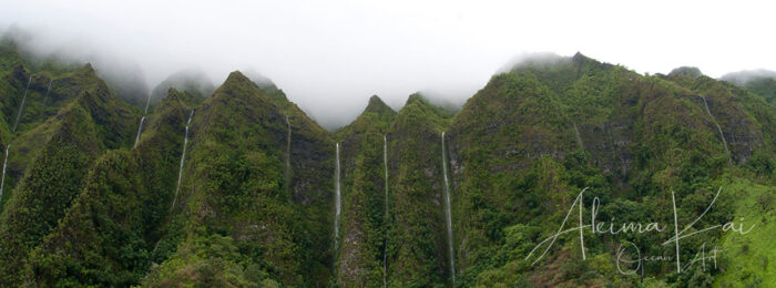 Koolau | Hawaii Nature Photography - Image 5