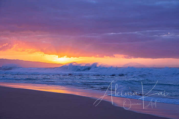 Uncontrolled | Hawaii Island Photography - Image 5