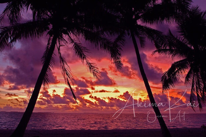 Blush of Evening Glow | Marshall Island Photography - Image 5