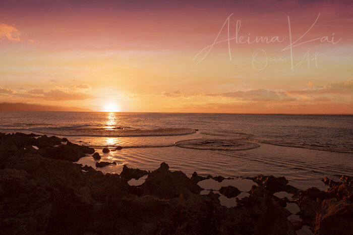 Treasure Each and Every Moment | Hawaii Island Photography - Image 2