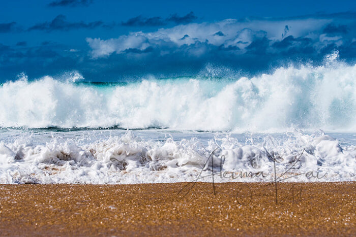 Life and Soul | Hawaii Island Photography - Image 5