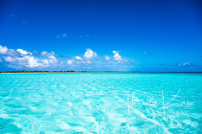 Blue Planet | French Polynesia Island Photography - Image 5