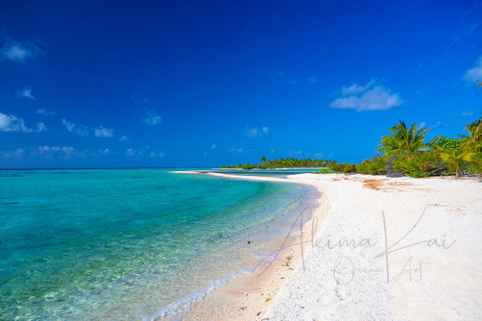 Ephemeral | French Polynesia Island Photography - Image 5